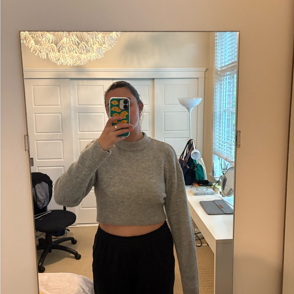 Zara Gray Cropped Knit Sweater